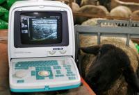 De selectie lijsten 2009 voor Groei, Vet reductie en Spier zijn binnen