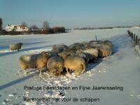 Fijne Feestdagen en een gezond 2011