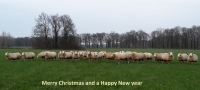 Fijne Kerstdagen en een Gelukkig Nieuwjaar