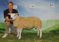 Schokland Influencer Top 25%