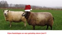 Fijne feestdagen en een gelukkig Nieuwjaar